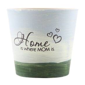 Mini Vaso De Planta Cachepot Estampado Decorado 12,5cm