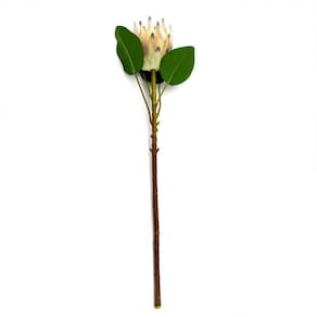 Haste de Flor Artificial Protea Frosted com Coat Salmão 50 cm F04 - D`Rossi