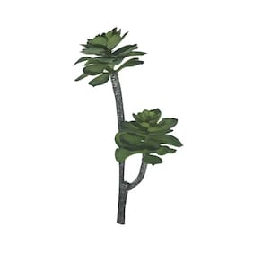 Galho Decorativo Suculenta Verde 30 cm - D`Rossi