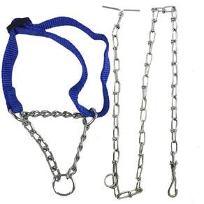 Coleira Ajustavel Cachorro Dog Kit Guia Passeio Corrente