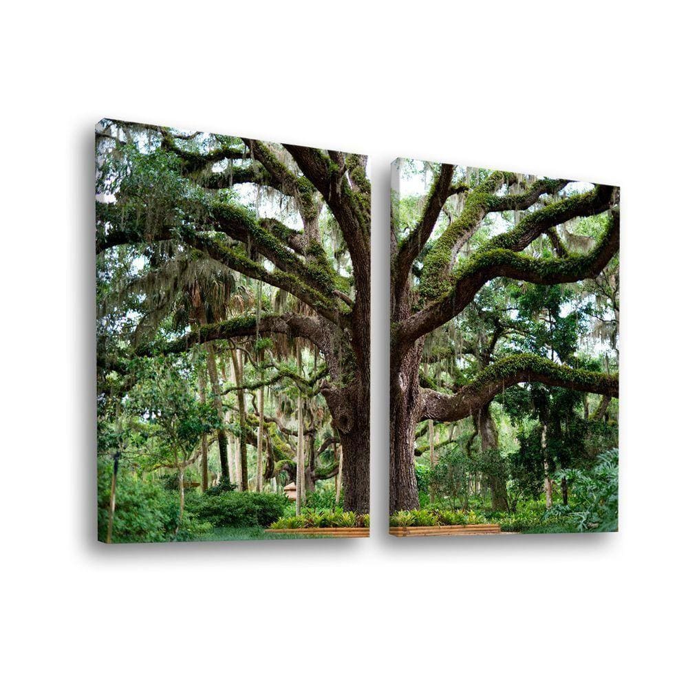 Quadro Decorativo Dupla árvore No Parque