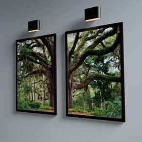 Quadro Decorativo Dupla árvore No Parque