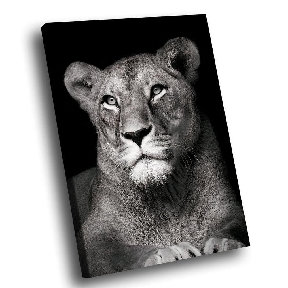 Quadro Leoa No Preto -- Br Artes