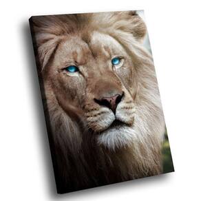 Quadro Leão Olhos Azuis -- Br Artes