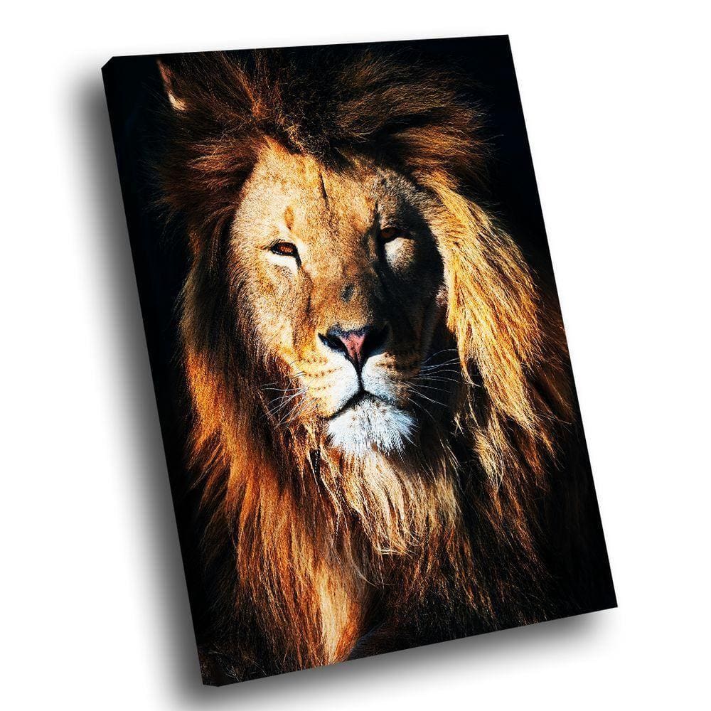 Quadro Leão Reluzente -- Br Artes