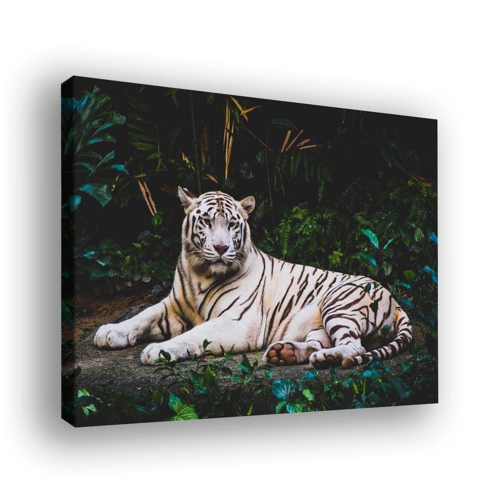 Quadro Tigre Branco -- Br Artes