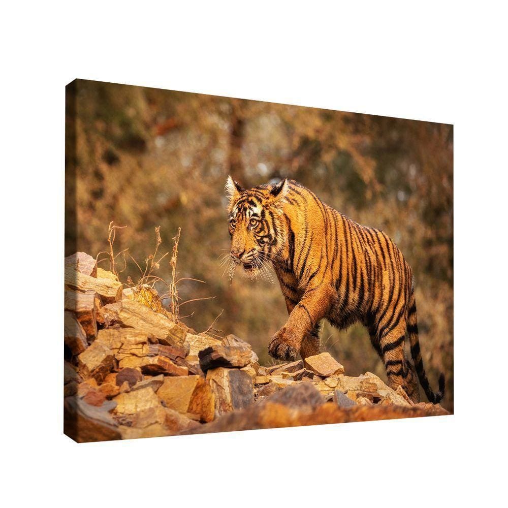 Quadro Tigre Nas Montanhas -- Br Artes