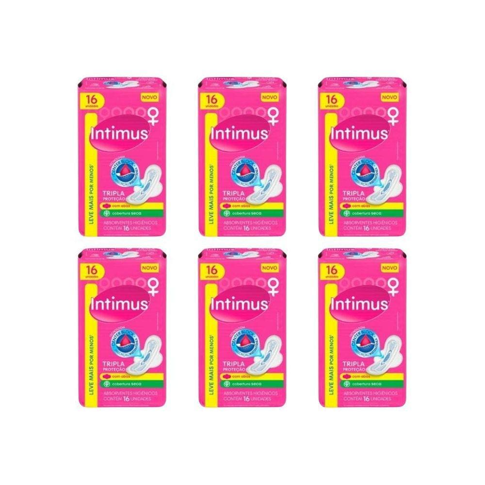 Absorvente Intimus Tripla Proteçao Com16 Seca Com Abas - 6Un