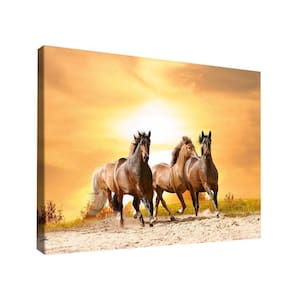Quadro Cavalos Summer -- Br Artes
