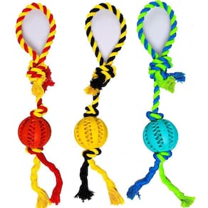 Brinquedo Pet Dental Play Para Morder Bolinha Corda Com Alça 7X50Cm