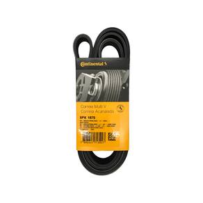 Correia Poly-v X1 2.0 Suprema Omega 2.2 4.1 6Pk1875