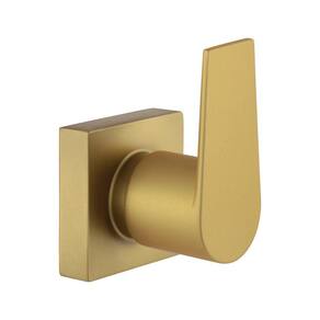 Acabamento Para Registro Alavanca Dourado Fosco Padrão Deca