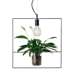 Lustre Pendente Avant Nature Quadrado Preto E27 Bivolt