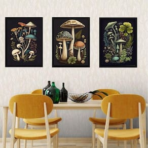 Kit 3 Quadros Cogumelos Vintage 45X34Cm - Com Vidro