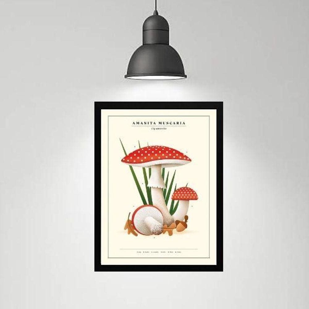 Quadro Cogumelos Vermelhos - Poá 24X18Cm - Com Vidro