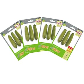 4X Sementes de Abobrinha Híbrida Aline Super ISLA