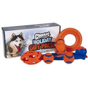 Brinquedo Kit Box Chuckit Holiday Gift Pack Treinamento Adestramento Para Cães Médio