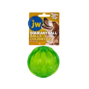 Brinquedo Bola JW Squeak-EE Ball Com Apito Para Cães Médio - Verde