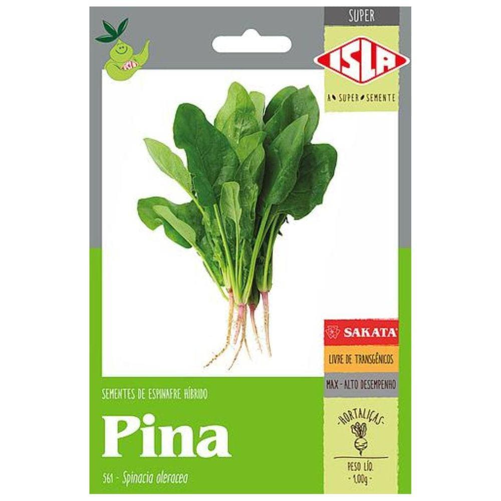 Sementes de Espinafre Híbrido Pina Super ISLA