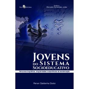 Jovens do sistema socioeducativo:percursos biográficos, singularidades e experiências de escolarização