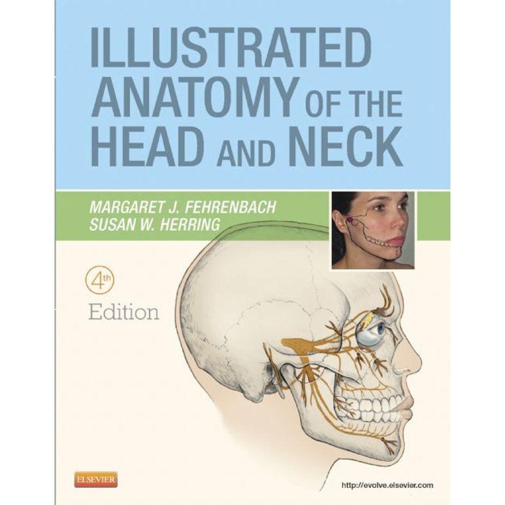 Illustrated Anatomy Of The Head And Neck