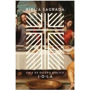 Bíblia Nvt Com Guia De Estudo Bíblico J.O.I.A.