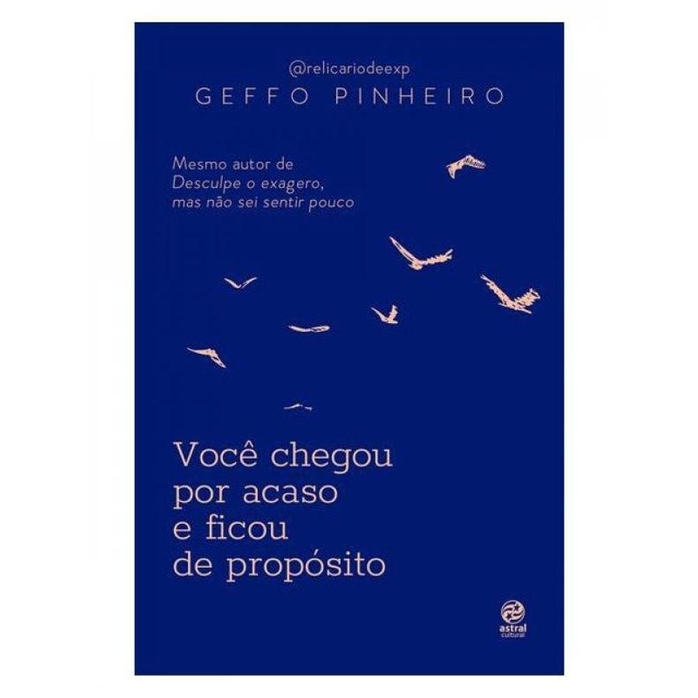 Você Chegou Por Acaso E Ficou De Propósito