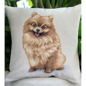 Capa De Almofada Lulu Da Pomerânia
