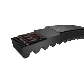 Correia de Cunha de Extremidade Dentada SKF PHG XPZ562EP