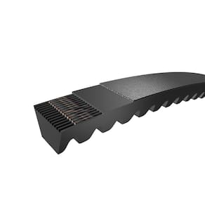 Correia de Cunha de Extremidade Dentada SKF PHG BX85