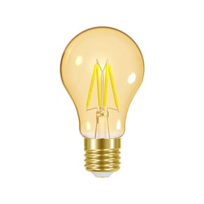 Lâmpada Led Taschibra Filamento Vintage A60 4w E27 Bivolt