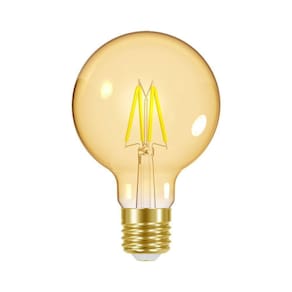 Lâmpada Led Taschibra Filamento Vintage Globo G80 4w E27 Bivolt