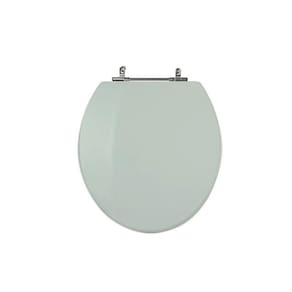 Assento Sanitário Poliéster para Louça Azálea/standard/carina/flamingo/fiore/sabará Aço Verde Água
