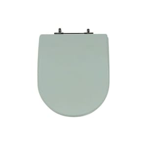 Assento Sanitário Poliéster para Louça Riviera/smart celite Aço Água Marinha