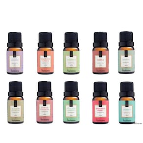 Kit 10 Essências 10Ml - Via Aroma