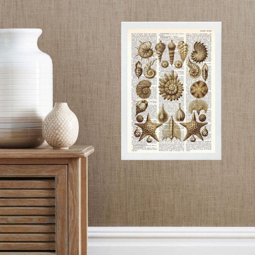 Quadro Casa De Praia - Conchas Vintage 45X34Cm - Com Vidro