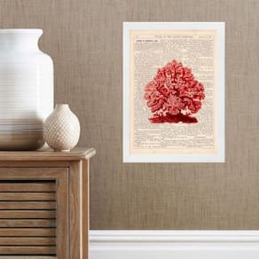 Quadro Casa De Praia - Coral Vermelho 45X34Cm