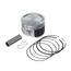Pistao Kit C/anel Rik Premium Cb 300r 0.25 [F016]
