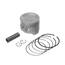 Pistao Kit C/anel Rik Premium Biz 125  Std [F016]