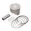 Pistao Kit C/anel Rik Premium Burgman 125 0.50 [F016]