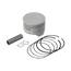 Pistao Kit C/anel Rik Premium Crf 230f 0.25 [F016]