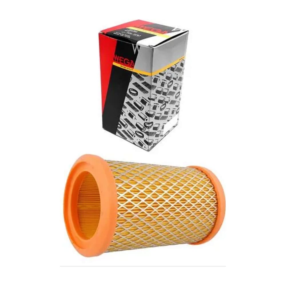 Filtro de Ar Clio Kangoo Twingo Wega WR349