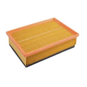 Filtro de Ar Peugeot 307 2.0 16V Wega FAP6010