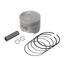 Pistao Kit C/anel Rik Premium Cg 125 2002/ Bros 125 1.50 [F016]