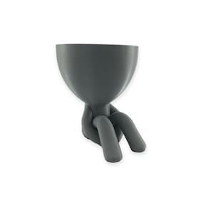 Vaso Sentado Cinza Para Cactos Ou Suculentas