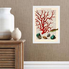 Quadro Casa De Praia - Coral Vintage 24X18Cm - Com Vidro