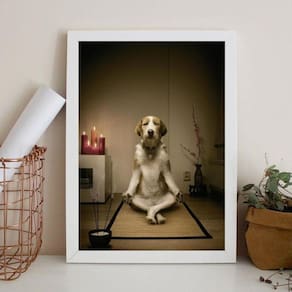 Quadro Decorativo Cachorro Meditando 24X18Cm - Com Vidro