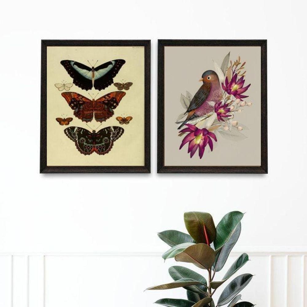 Kit 2 Quadros Varanda Pássaro E Borboletas 24X18Cm - Vidro
