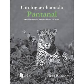 Um lugar chamado Pantanal: (re)descobrindo o menor bioma do Brasil