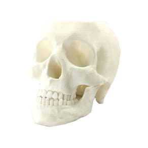 Caveira - Vaso Cactos Ou Suculentas - Branco
